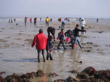 Sahilde bir balıkçı