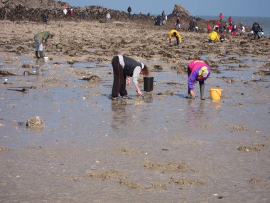 Brittany sahilinde balıkçılar