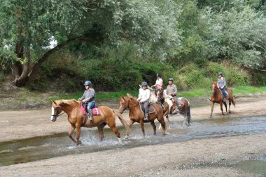Louet boyunca at sırtında gezginler