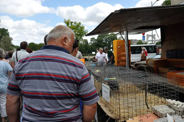 Chalonnes Sur Loire Frankrijk August 2015 Mensen Markt — Stockfoto