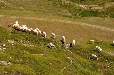 Valloire, Brive2 'de İnek Yüksekliği