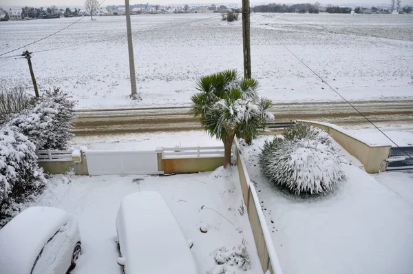 布列塔尼雪地下的花园 — 图库照片