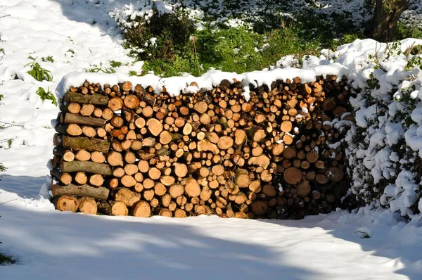 Holzstapel Mit Schnee Bedeckt — Stockfoto