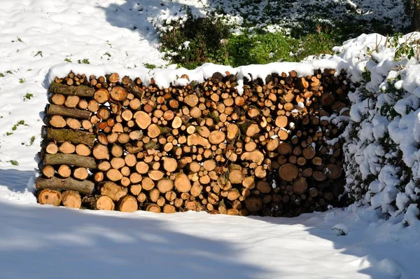 Holzstapel Mit Schnee Bedeckt — Stockfoto