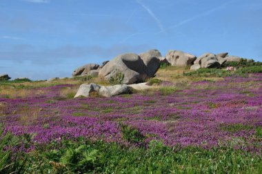 Ploumanac 'h' da Gr34 'teki aylaklar