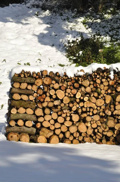 Holzstapel Mit Schnee Bedeckt — Stockfoto