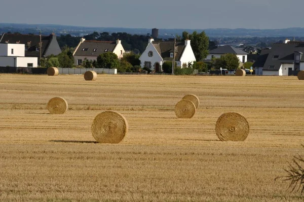 Haus Hinter Abgeerntetem Feld — Stockfoto