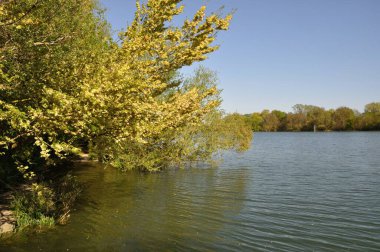 Normandiya 'daki Elbeuf' ta Sen Nehri kıyısında.