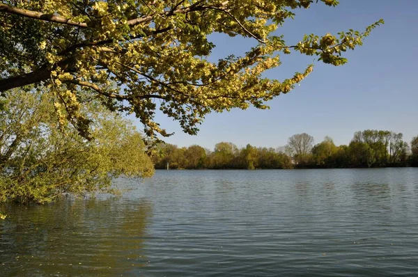 Banks Seine Elbeuf Normandy — Stock Photo, Image