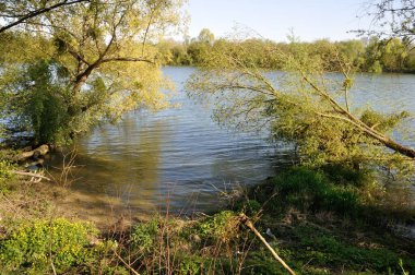 Normandiya 'daki Elbeuf' ta Sen Nehri kıyısında.