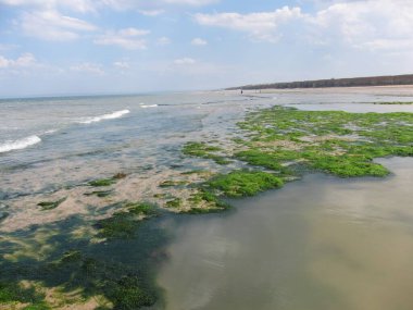 Luc sur mer plajı Normandiya 'da