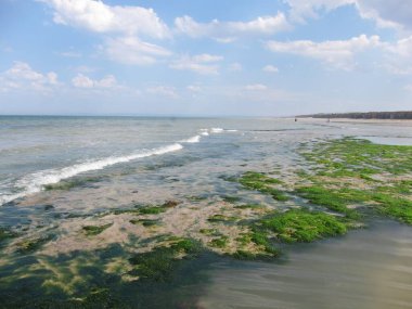Luc sur mer plajı Normandiya 'da