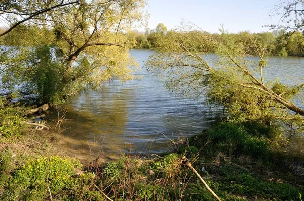 Banks Seine Elbeuf Normandy — Stock Photo, Image