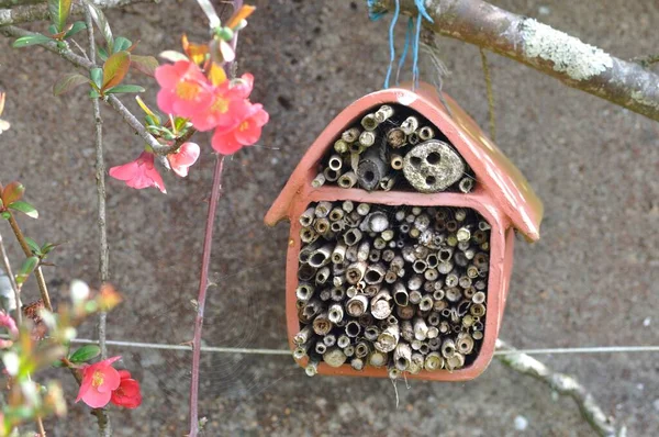 Clay Insect Hotel Garden — Stock Photo, Image