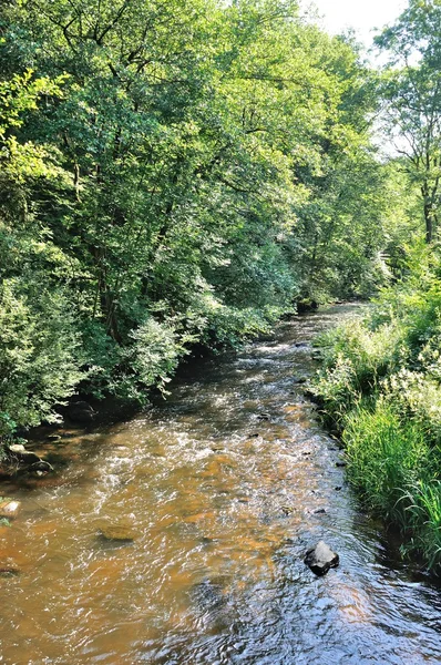 Morvan Nehriрічка в регіоні morvan — Stockfoto