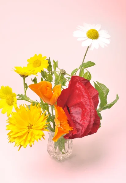 花瓶の花. — ストック写真