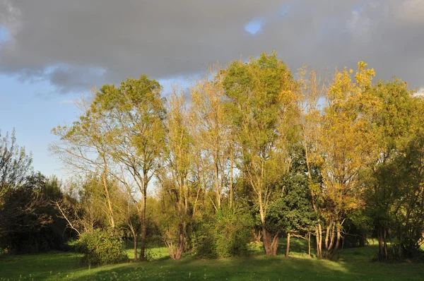 Paesaggio rurale in Francia — Foto Stock