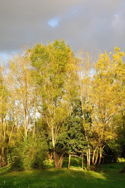 Ländliche Landschaft in Frankreich — Stockfoto