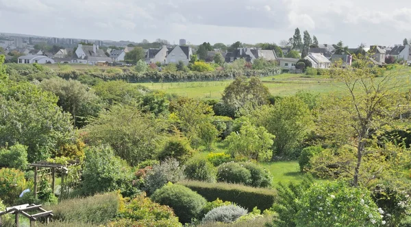 Garden — Stock Photo, Image