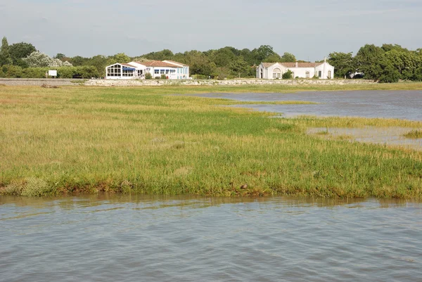 Charentes Gironde — Stok fotoğraf