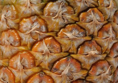 bir ananas