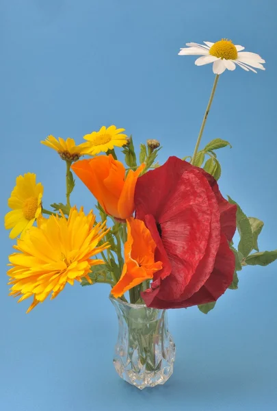 Blumen in einer Vase arrangiert. — Stockfoto