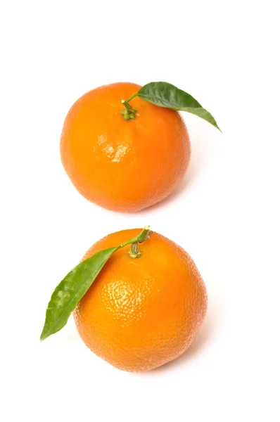 Clementine narancs — Stock Fotó