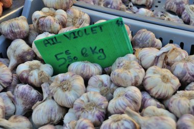 Markette taze sarımsak