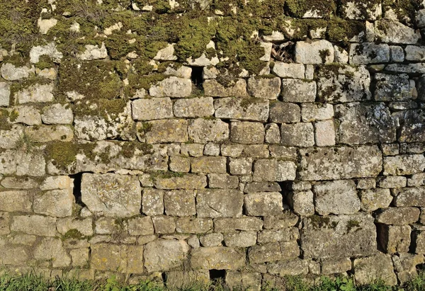 Pared sólida hecha de piedra —  Fotos de Stock