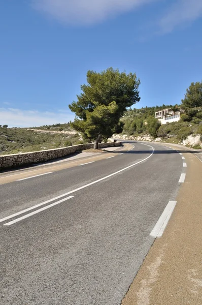 Cassis — Fotografia de Stock