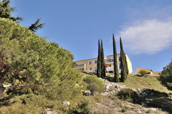 Zypressen auf einem Hügel in der Provence — Stockfoto