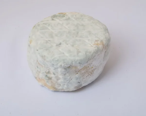 Gros plan sur le fromage de chèvre — Photo