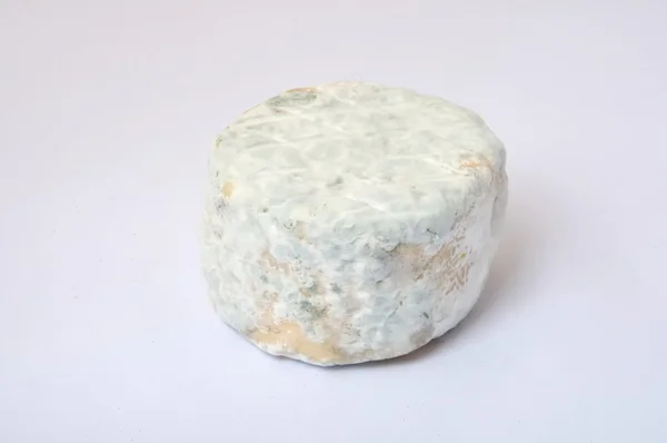 Gros plan sur le fromage de chèvre — Photo