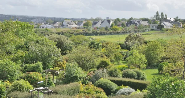 Garden — Stock Photo, Image