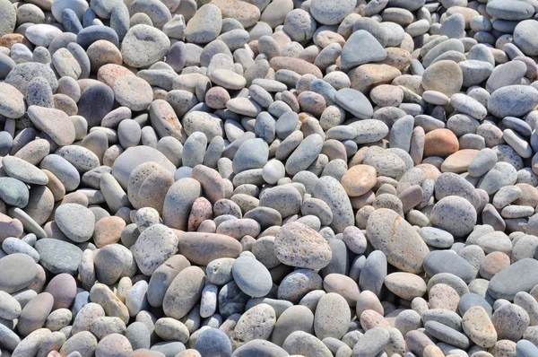 Pebble — Stock Photo, Image