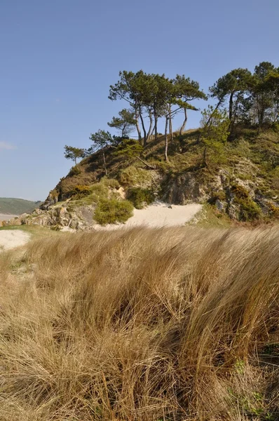 Granitküste bei Hillion, Bretagne — Stockfoto