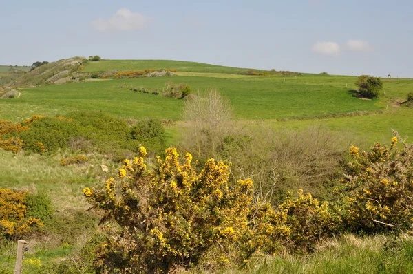 Rural landscape in Brittany — Stock Photo, Image