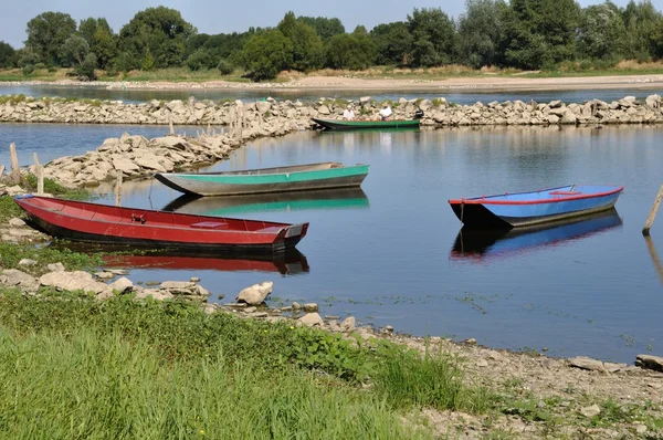 Boat on a river — Stock Photo, Image