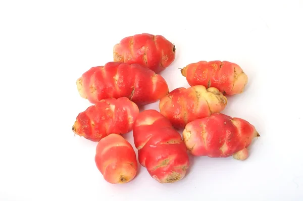 Oca del Perú — Foto de Stock