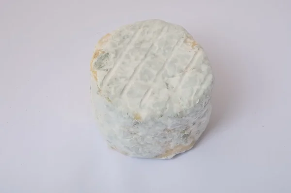 Gros plan sur le fromage de chèvre — Photo