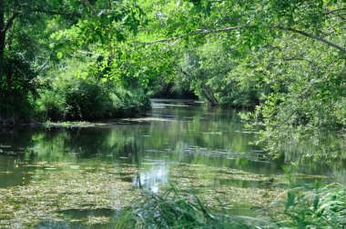 Jonzac 'taki Seugne.