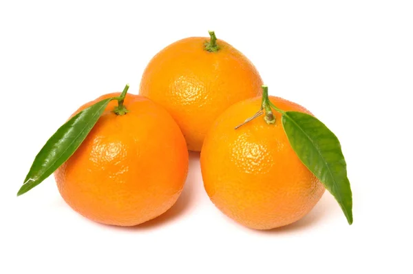 Drie Clementine oranje — Stockfoto