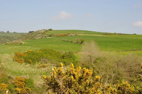 Paysage rural en Bretagne — Photo