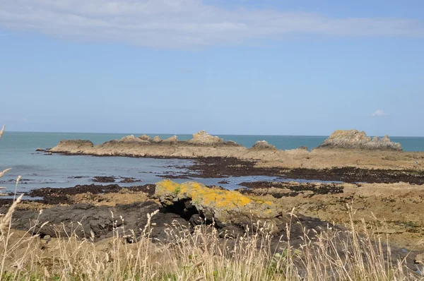 Francia, Normandía, Cotentin, paisaje, paseo marítimo —  Fotos de Stock