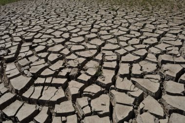 Kurutulmuş zemin doku