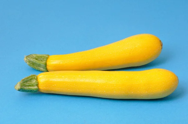 Gul zucchini på blå bakgrund — Stockfoto