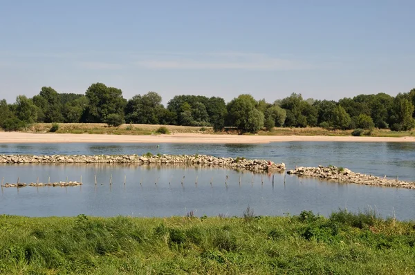 Loire river in Anjou — Stock Photo, Image