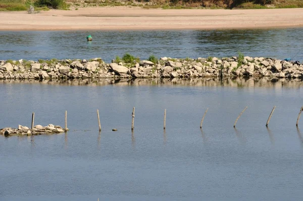 De rivier Loire in Anjou — Stockfoto