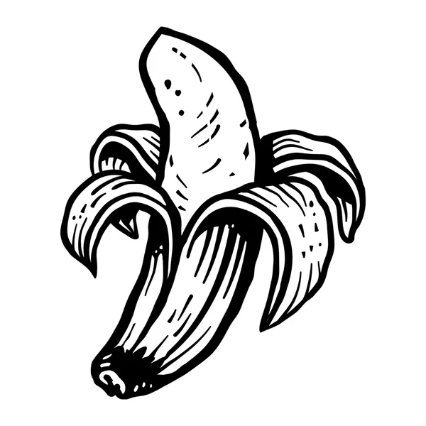 Banana fruit vector — Stock Vector