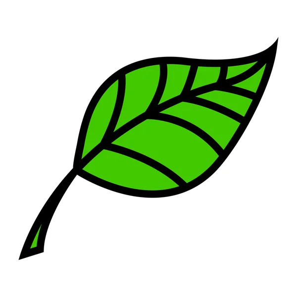 Zöld természet levél Vector Icon — Stock Vector